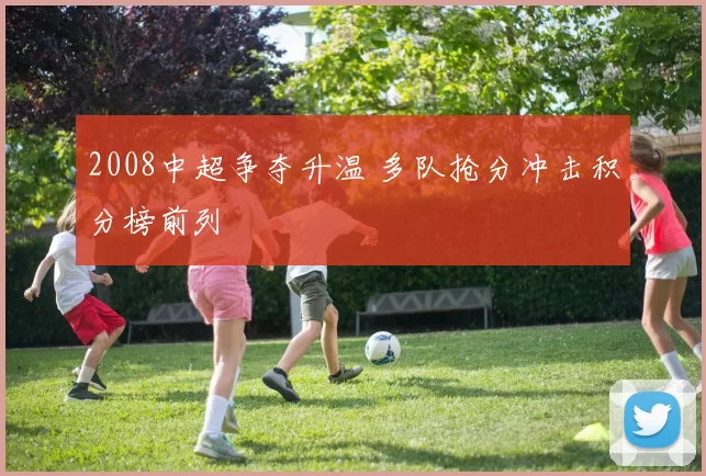 2008中超争夺升温 多队抢分冲击积分榜前列