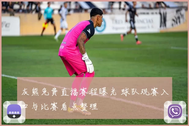 灰熊免费直播赛程曝光 球队观赛入口与比赛看点整理