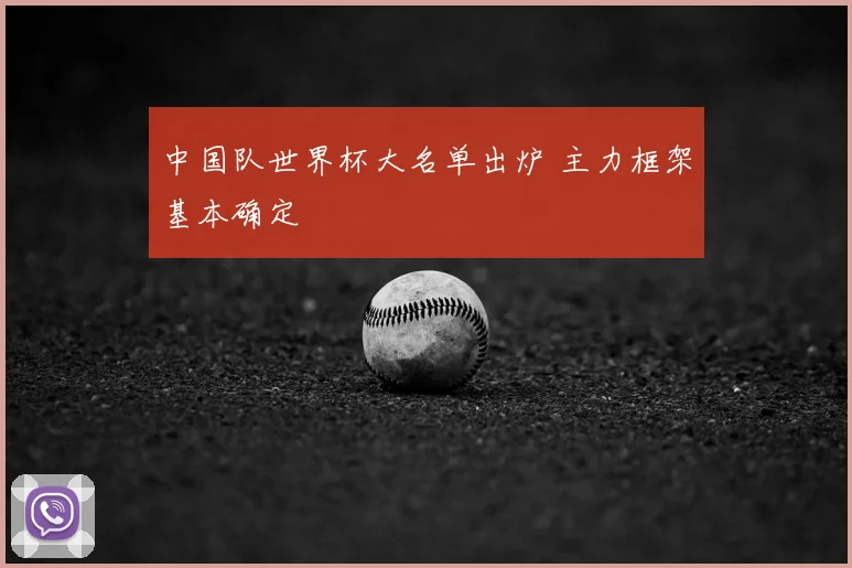 中国队世界杯大名单出炉 主力框架基本确定