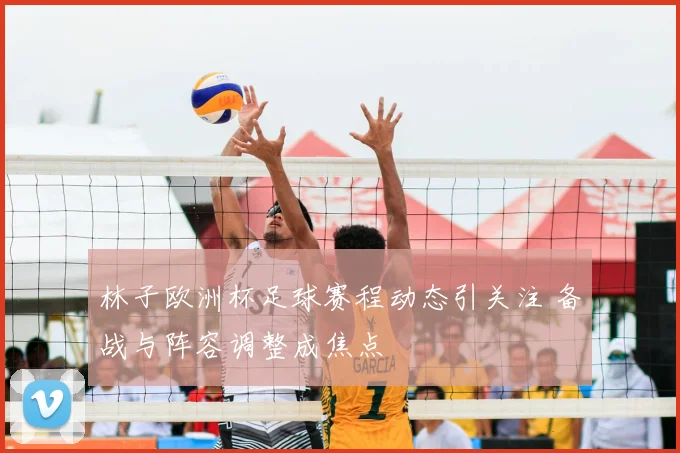 林子欧洲杯足球赛程动态引关注 备战与阵容调整成焦点