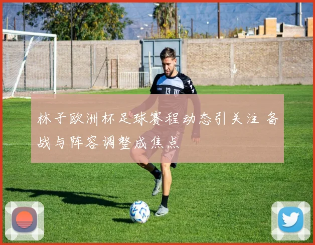 林子欧洲杯足球赛程动态引关注 备战与阵容调整成焦点