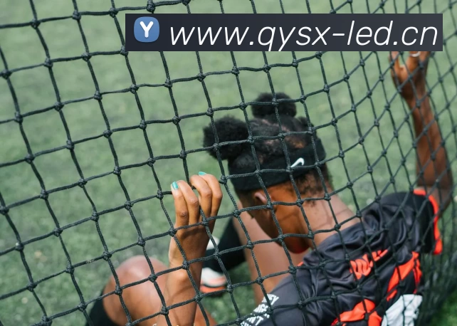 多媒体互动体验